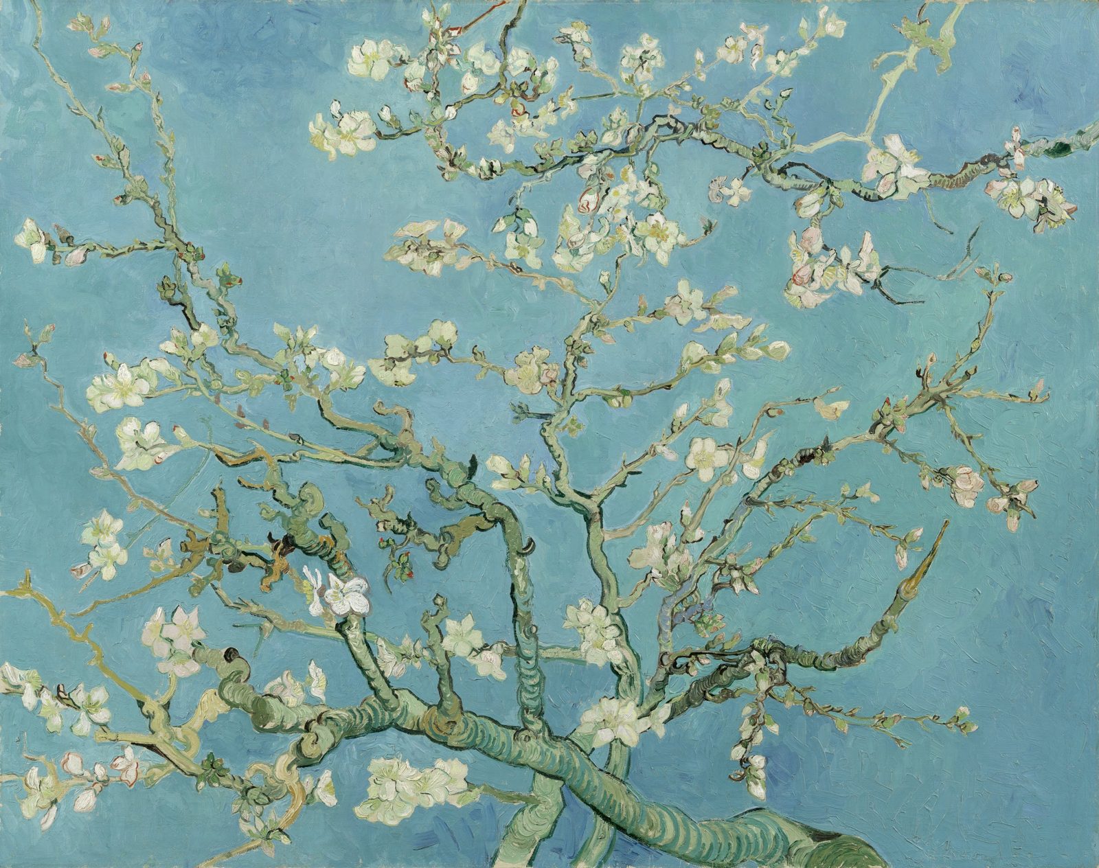Vincent van Gogh, «Almond Blossom», 1890