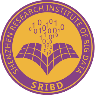 Shenzhen Research Institute of Big Data
